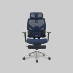 Rexus Ergonomic Chair Daxa ZEN EC3 / DX-EC3 - Blue